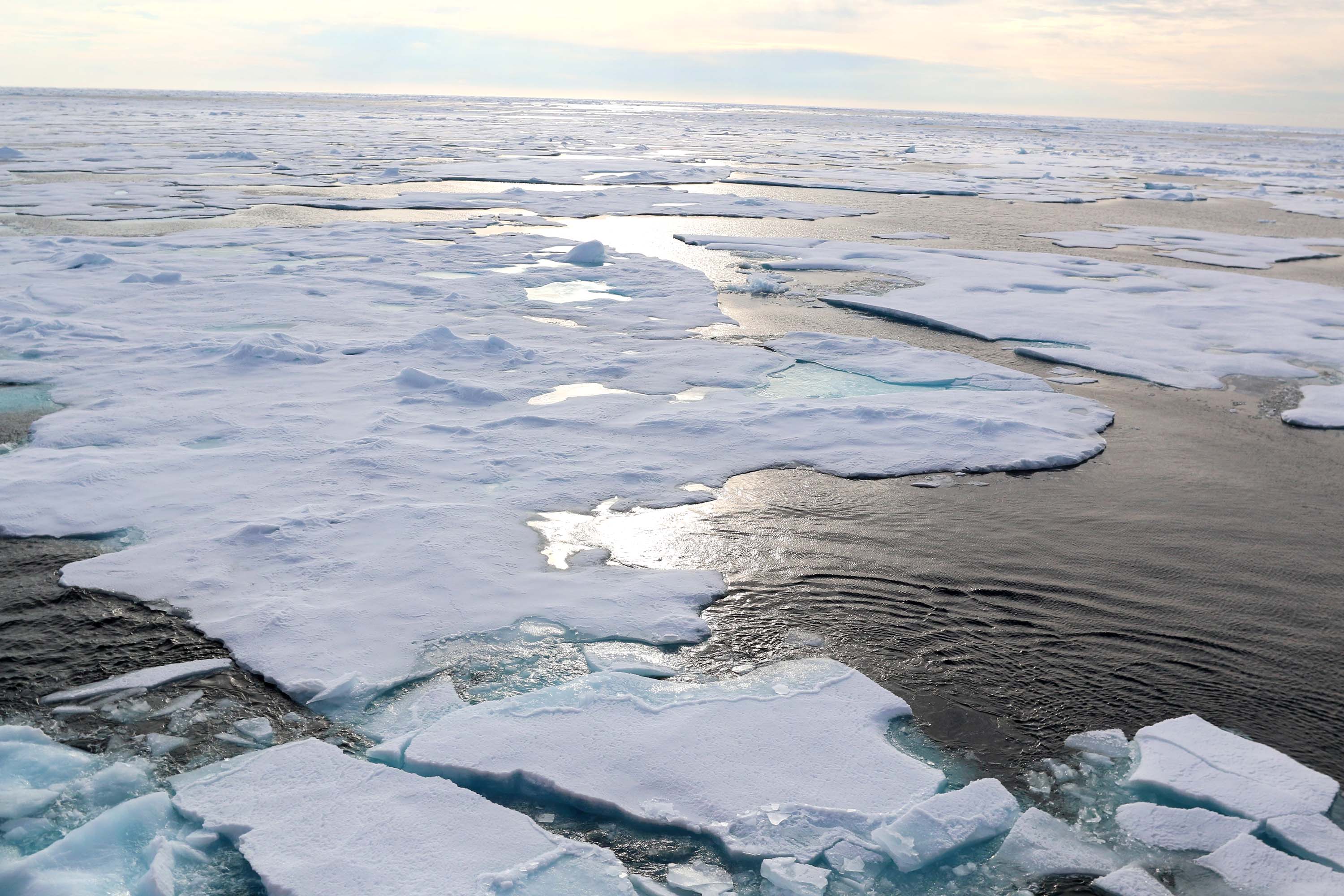 Самое теплое из арктических морей. Арктические моря. Потепление в Арктике. Глобальное потепление в Арктике. Arctic Ice melting.