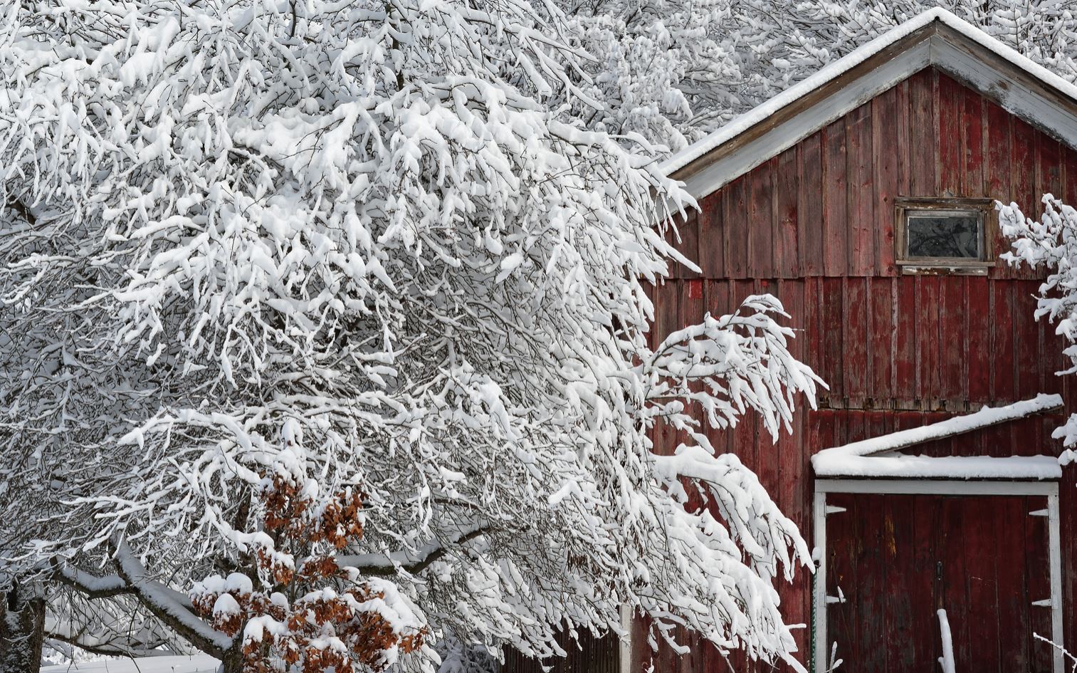 Michigan's Coldest April Temperature on Record Set Last Weekend