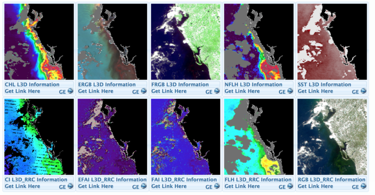 Tracking Florida’s Red Tides with Satellites and Smartphones