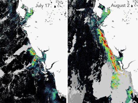 Tracking Florida’s Red Tides with Satellites and Smartphones