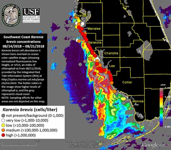 Tracking Florida’s Red Tides with Satellites and Smartphones