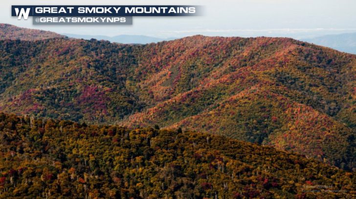 Fall Color is Peaking In The Southeast