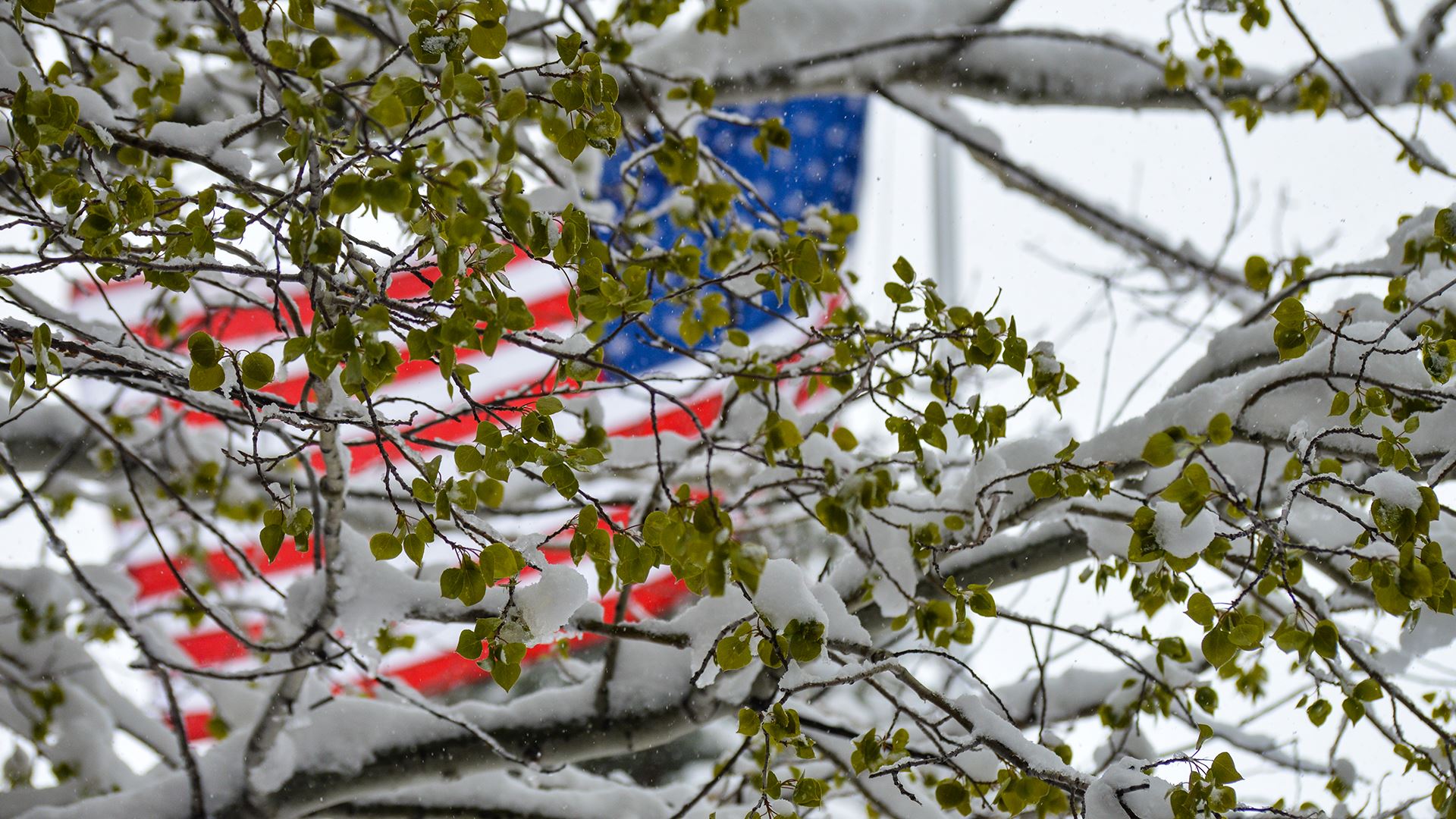 Wintry Weather Returns to New England - WeatherNation