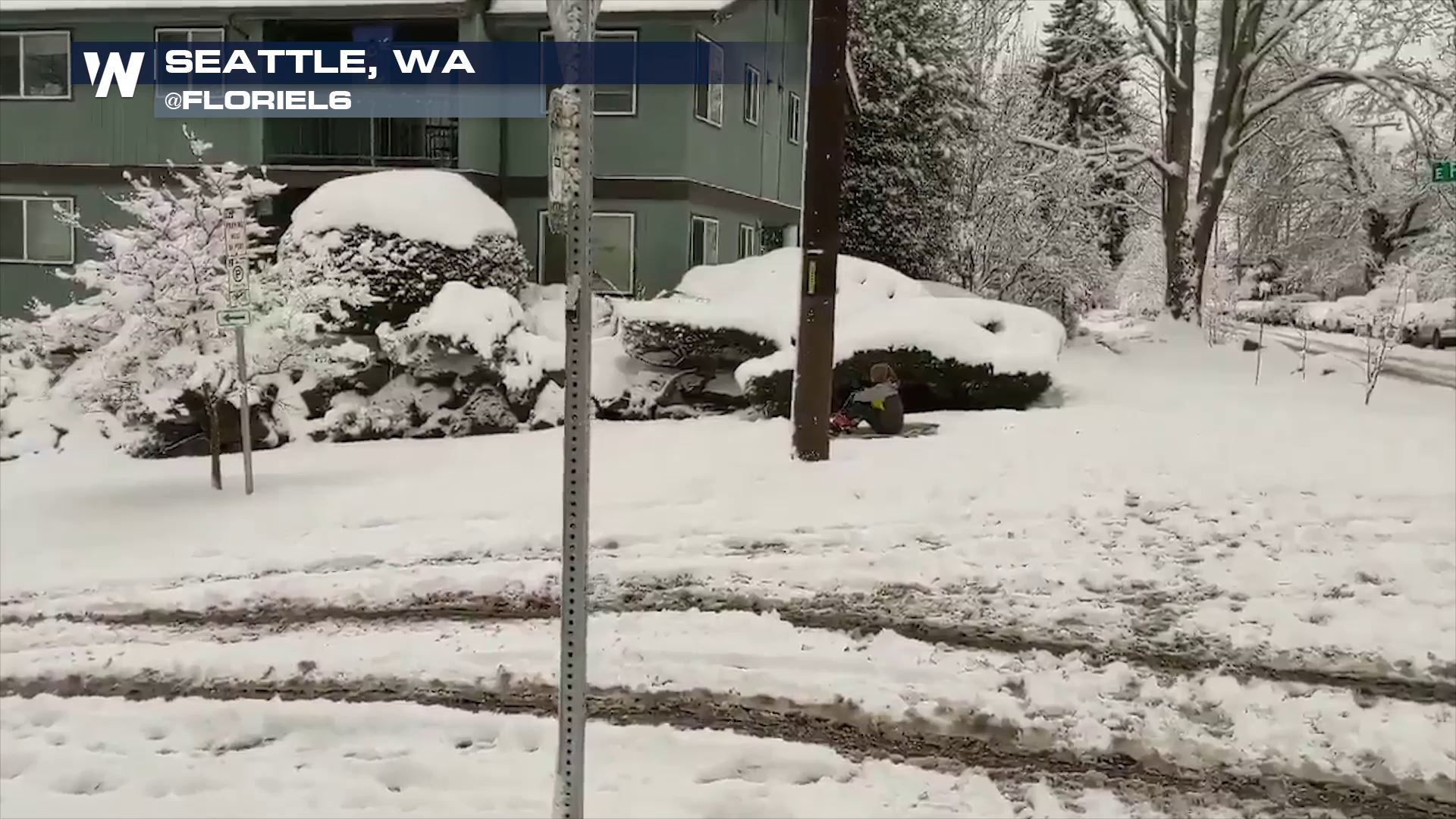 Seattle Slammed By Rare Big Snow - WeatherNation