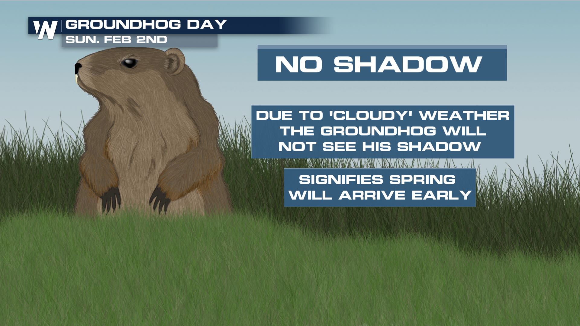 groundhog no shadow