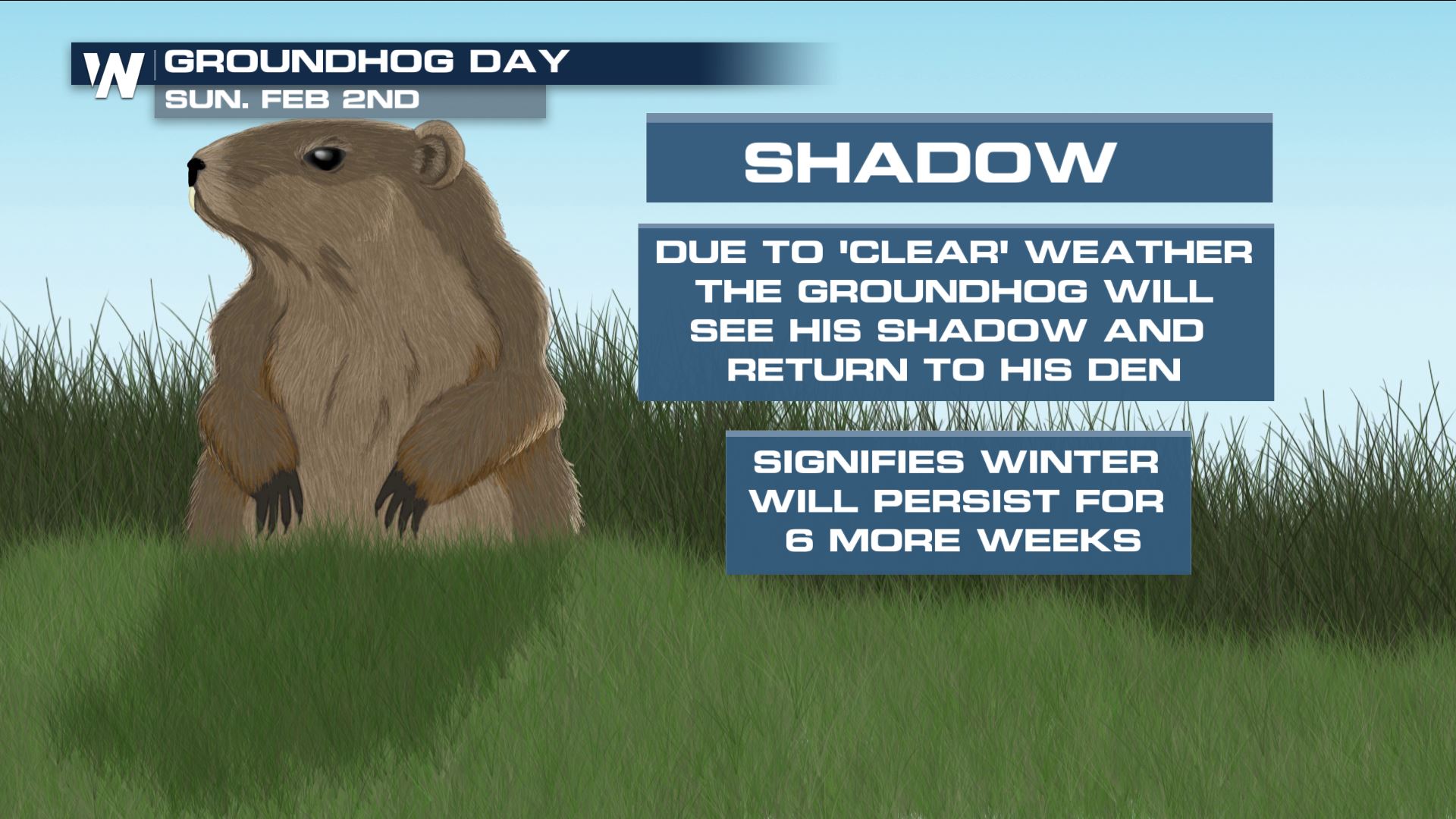 groundhog no shadow