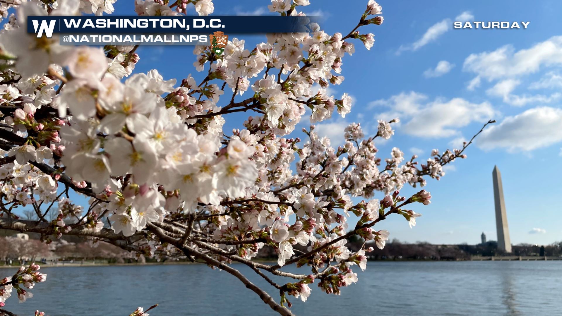 Happy Spring! The Season Officially Begins - WeatherNation