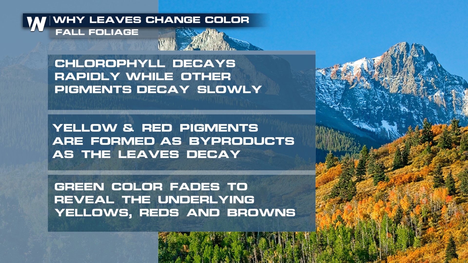 Colorado fall colors forecast 2023