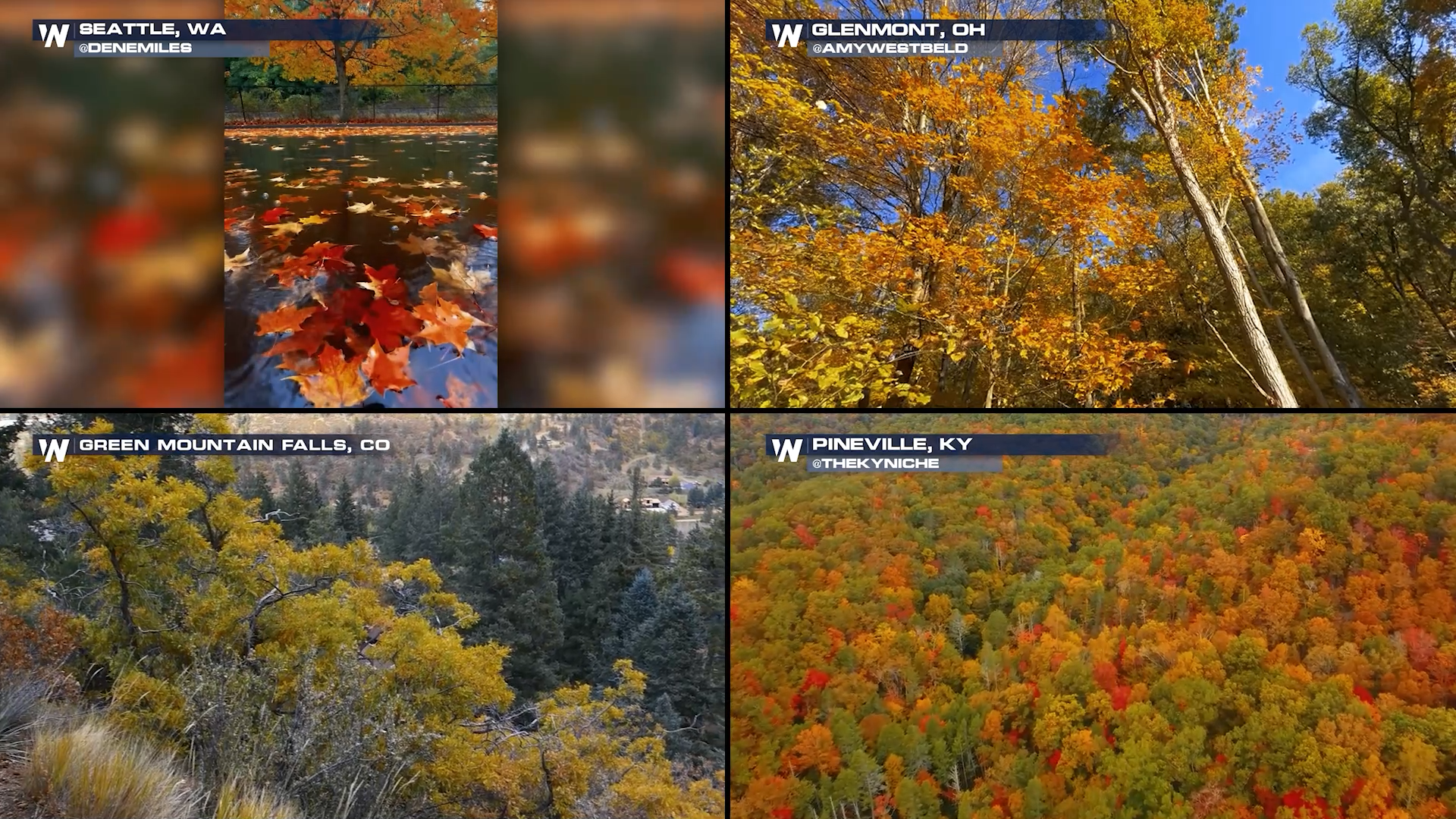 Falling into Fall - Why Leaves Change Color and Your Foliage Forecast ...