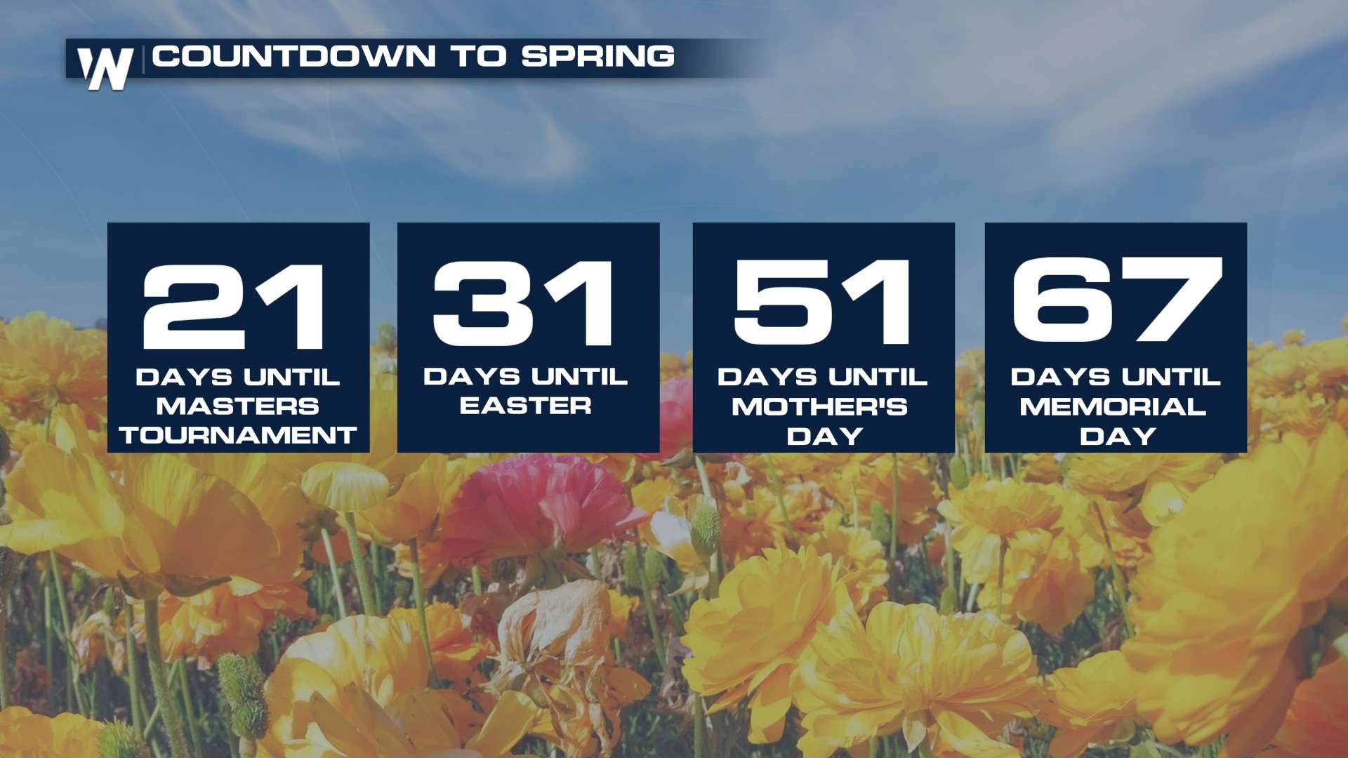 Spring Has Officially Arrived: The Vernal Equinox Marks a New Season ...