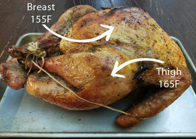 How to take a turkey's temperature